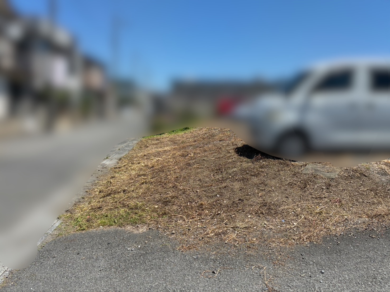 越谷市｜駐車場の雑草対策（機械除草・一部手取り除草） アフター