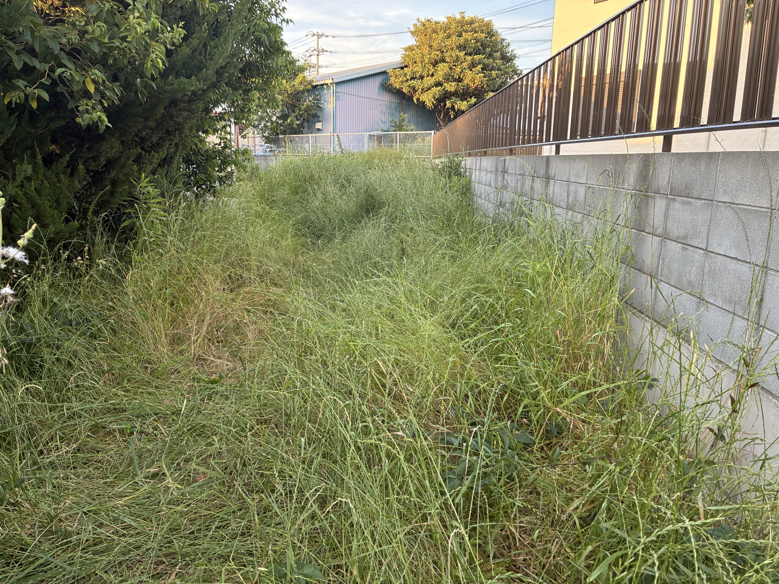 越谷市｜空き地の雑草対策 アフター