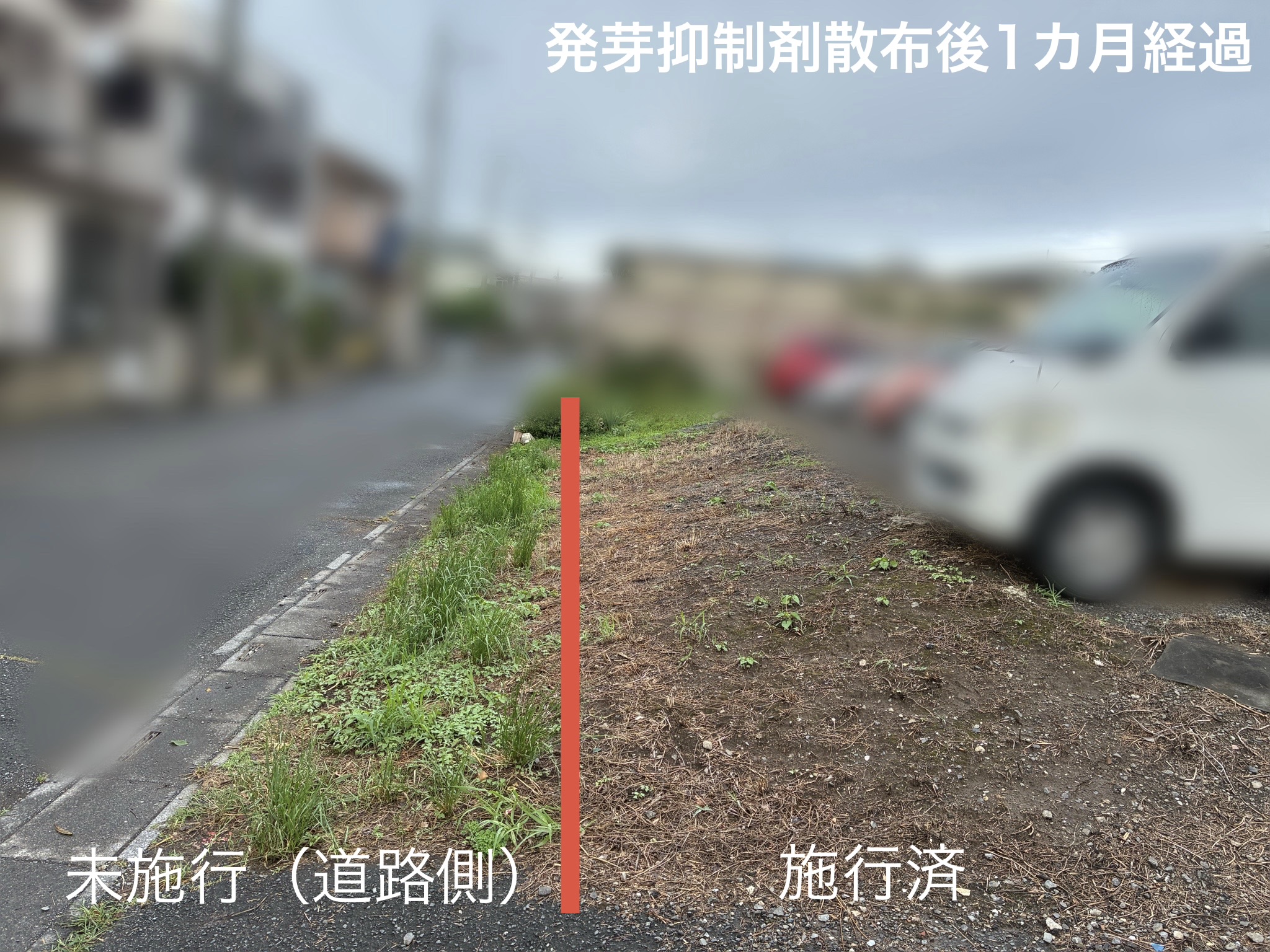 越谷市｜駐車場の雑草対策（発芽抑制剤散布） アフター