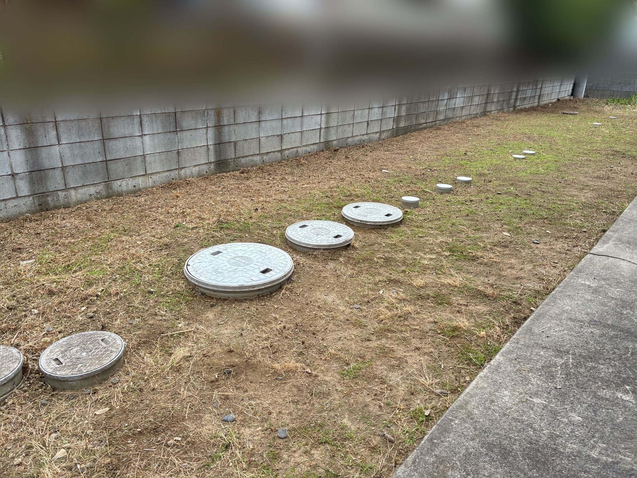 越谷市｜庭の雑草対策 アフター